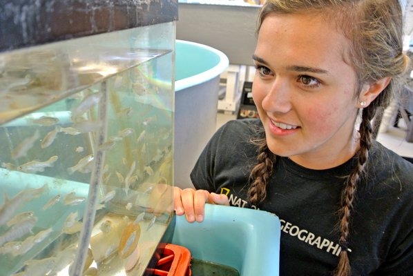 Alexandra DiGiacomo in the Stony Brook Southampton Marine Science Lab.
