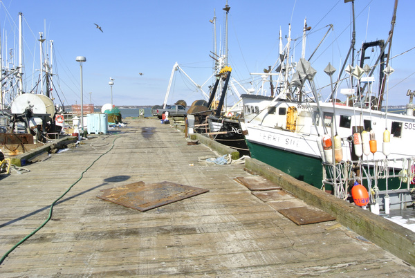 The Shinnecock Commercial Dock in Hampton Bays is in need of repairs since Hurricane Sandy. DANA SHAW