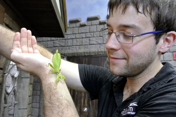  assistant butterfly curator at Atlantis Marine World