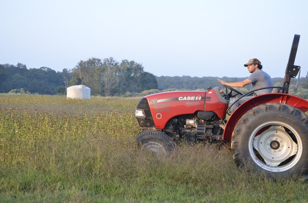 Farmer Frank Trentacoste on his farm in Amagansett. SHAYE WEAVER