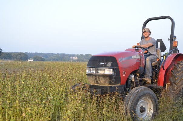 Farmer Frank Trentacoste on his farm in Amagansett. SHAYE WEAVER