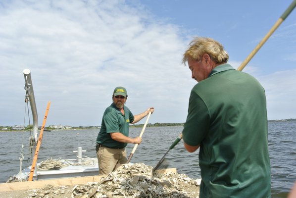 Southampton Town Trustee Marine Maintence crew members Harry Miller and Ed White dump clamshells into Mecox Bay on Thrusday