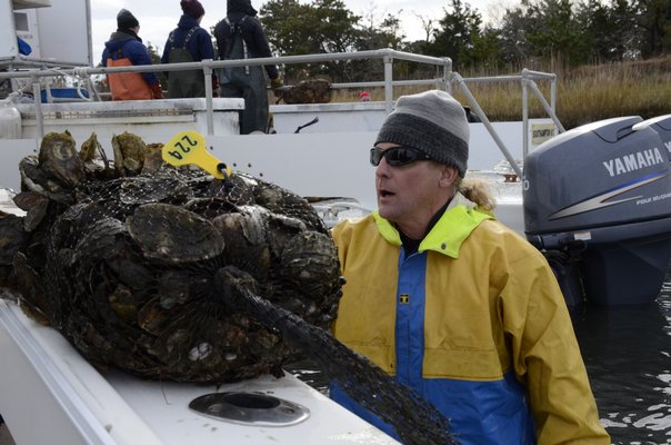 Stony Brook University grad students and engineers helped move the spat covered shells from a boat and into place on Long Island's first permitted oyster reef. GREG WEHNER