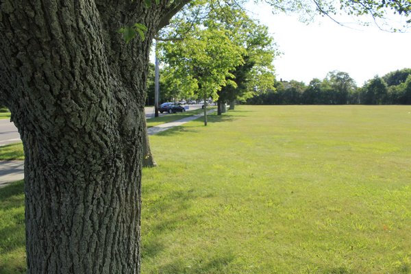 Westhampton Beach Village will screen movies every Monday night this summer on the Great Lawn beginning June 29. KYLE CAMPBELL