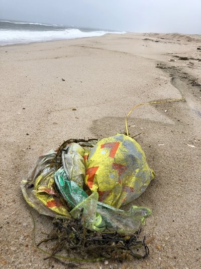 which frequently litter beaches and are seen as a hazard to marine life. County law currently allows for the legal release of up to 25 balloons. Michael Wright