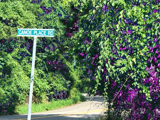  Canoe Place Road beginning at North Road and continuing to Montauk Highway would be renamed Old Canoe Place Road. VALERIE GORDON 
