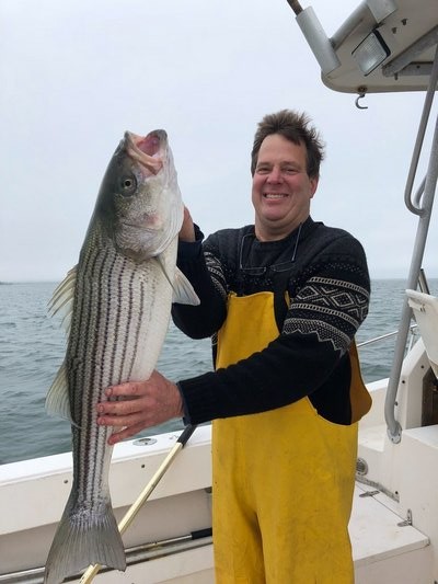 Randy Reichart picked up this keeper-sized striped bass on his first drop of the season over the weekend.