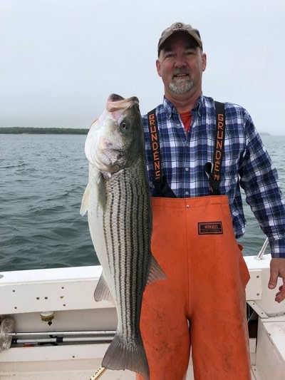 Peter Van Scoyoc got out of East Hampton Town Hall long enough to put this nice striper in the boat over the weekend.  Randy Reichert