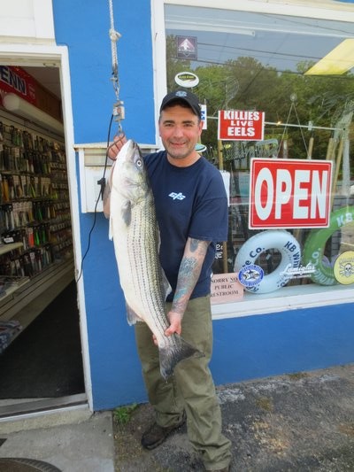 Bert Rusciutto beached this 17 pound striped bass over the weekend. Capt. Scott Jeffrey/East End Bait & Tackle