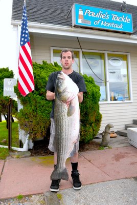 Kevin Logie's big striper weighed in at 49.2 pounds on Wednesday morning in Montauk. Paulie's Tackle of Montauk