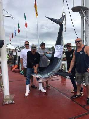 The crew of the Alexa Ann took top honors in the Star Island Yacht Club shark tournament over the weekend with this 417-pound mako.
ALEXA ANN SPORTFISHING Alexa Ann Sportfishing