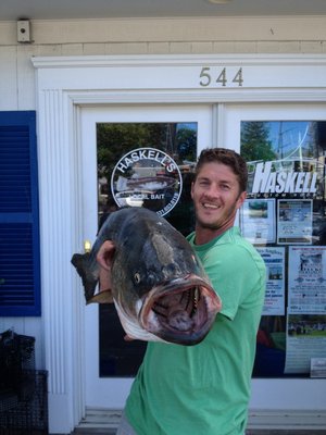 Christian Peterson caught this whopper 50-pound striped bass on light tackle and weighed it in at Haskell's Bait & Tackle in East Quogue last week. Haskell's Bait & Tackle