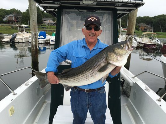 East Hampton Town Supervisor Larry Cantwell did a little solo canvassing of the town's maritime district and came back with some input from its striped constituents: they are very happy about bunker immigration.