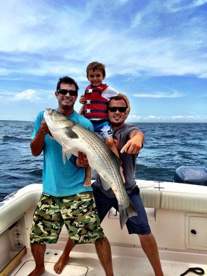 Big stripers continued to have anglers smiling