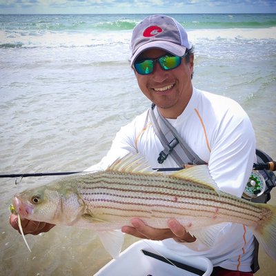 Luyen Chou and one of the small striped bass that have been gorging themselves on sandeels along local beaches all month. 