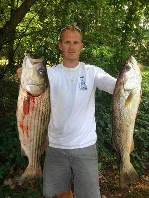 Matt Rottcamp of Hampton Bays with two thirds of the inshore slam he caught in the Peconics this past week.