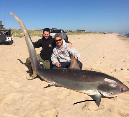 Joe McDonald and Phil Schnell with the 469-pound thresher shark they hooked and battled to the beach in Amagansett last week.