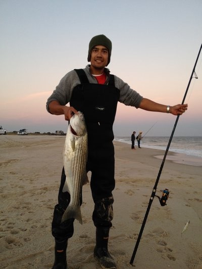 Alex Prime shows off one of the many striped bass pulled from the Wainscott surf this weekend by anglers. MRW