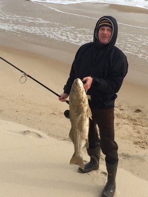 Ralph Waeckerling with one of the striped bass that have been feeding on bunker off the beaches in Amagansett and Napeague this week. Adam Flax