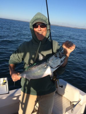 There were still some false albacore roaming Gardiners Bay this past week