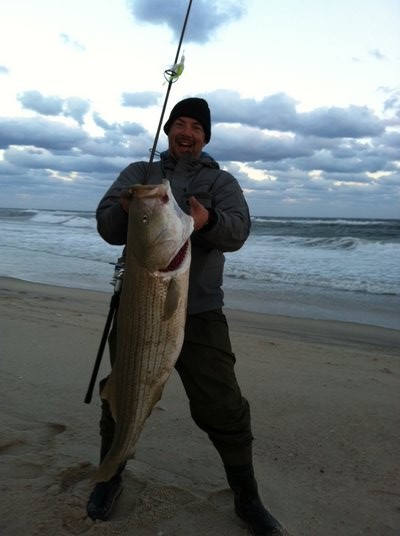 The last few weeks have seen some truly big striped bass