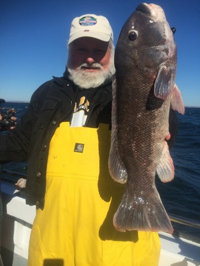 Mike Sadowski caught this 10-pound blackfish off Hampton Bays aboard the Hampton Lady last week.  Capt. Jim Foley Capt. Jim Foley