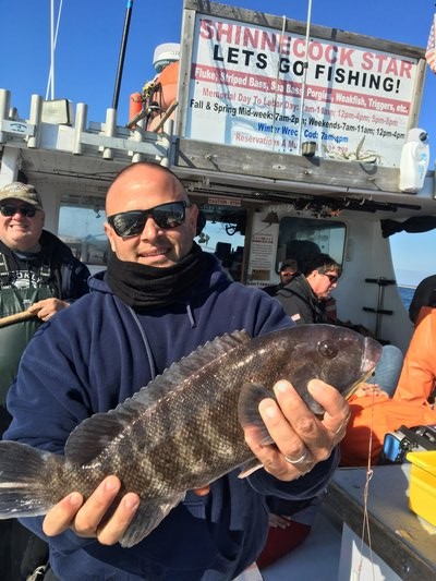 Gene Molina of Hampton Bays with a nice blackfish caught outside Shinnecock Inlet recently. Deena Lippman/Shinnecock Star