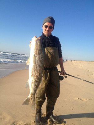 Lou Gisone shows off a fat striped bass he caught recently. There are still some good sized fish among all the small ones. Submitted photo