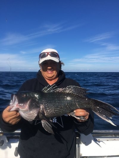 Dottie MacPherson with a giant black sea bass caught off Hampton Bays aboard the Shinnecock Star recently. Deena Lippman