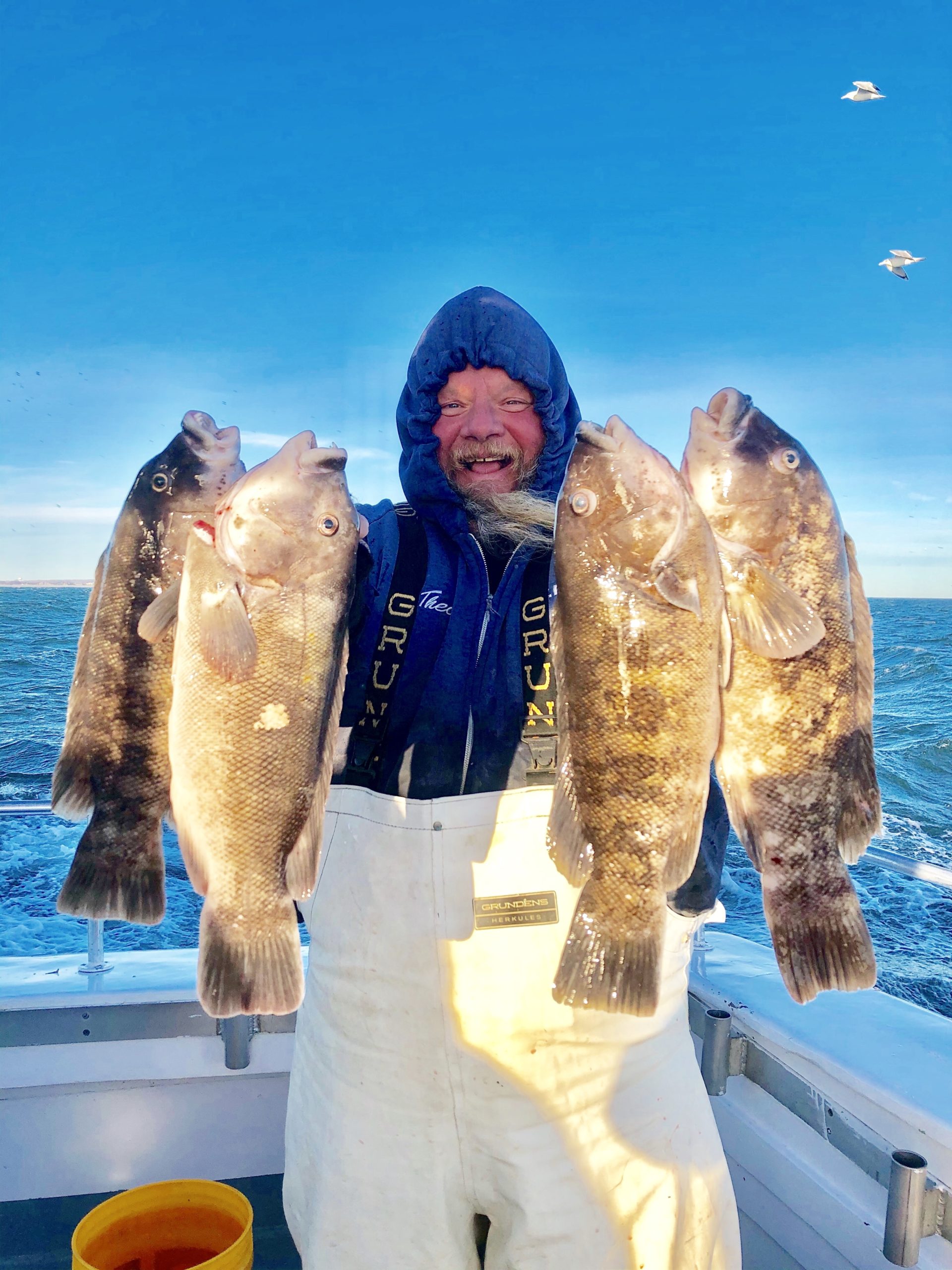 A happy Theo Zmach of Westhampton shows off a limit of blackfish caught off Shinnecock aboard the Hampton Lady last week. 