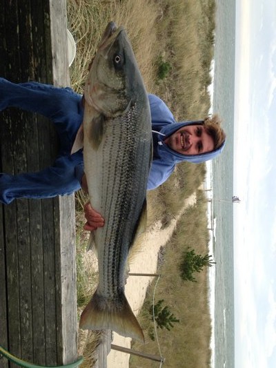 Orson Frisbie with what was probably the last slob striped bass of the season on the South Fork