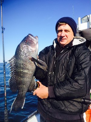 Jan Skibko of Hampton Bays with a nice sea bass caught aboard the Shinnecock Star recently. Deena Lippman/Shinnecock Star