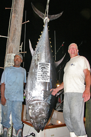 A pair of giant bluefin tuna were brought into Westlake Fishing Lodge last Tuesday night with minutes of each other. Mike Saio