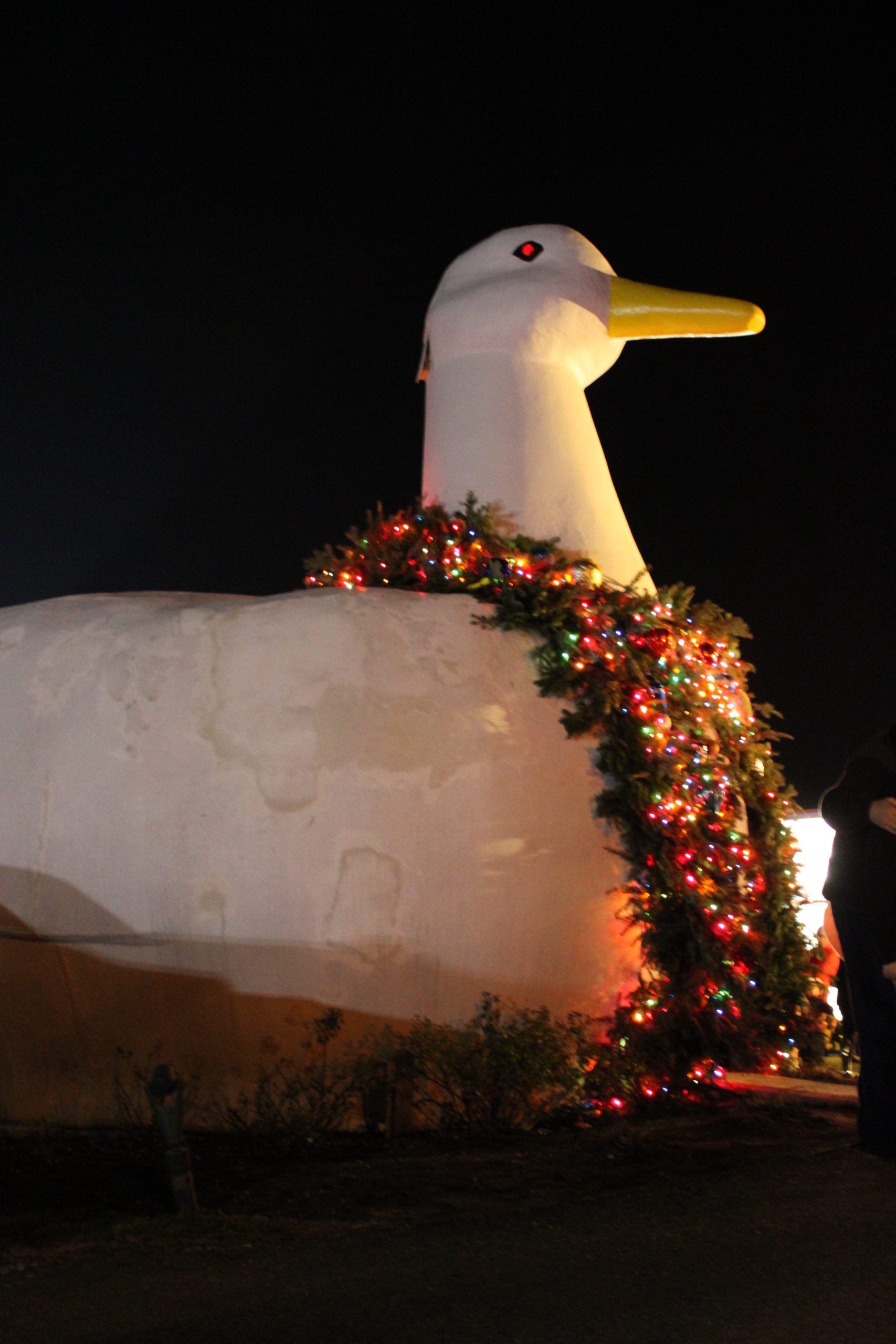 The Big Duck lighting in Flanders was on Monday night. 