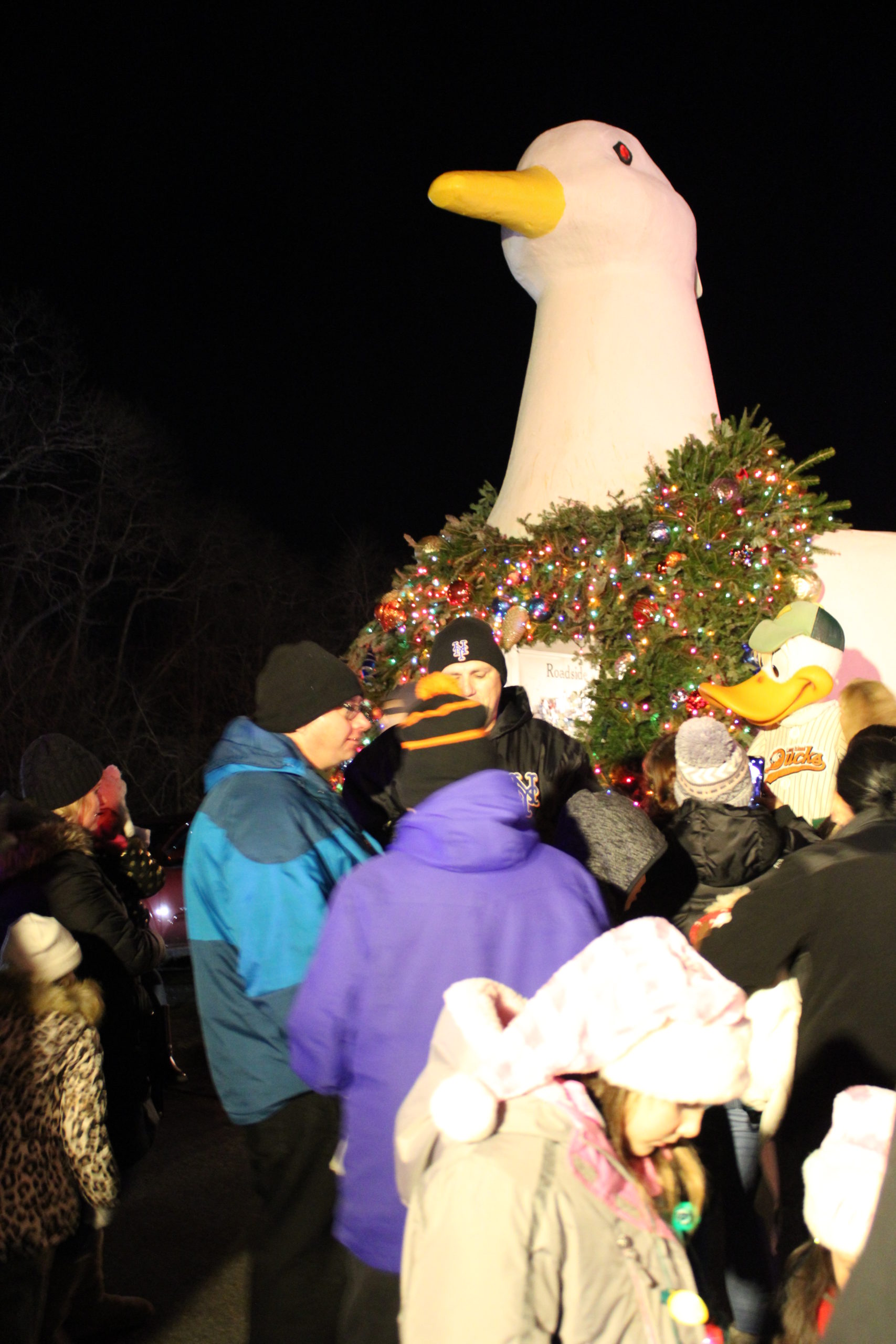 The Big Duck lighting in Flanders was on Monday night. 