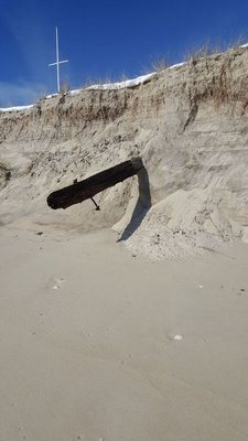 A log that was inside of a dune before it was eroded by January's blizzard. COURTESY OF ARAM TERCHUNIAN