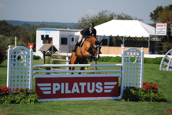 Norman Dello Joio and Notre Star clear the first of two consecutive gates in the Open Jumper competition. 
