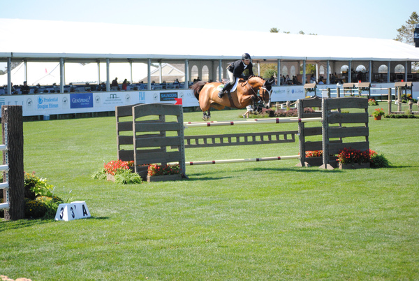  Anne Byers of Locust Valley soars over a gate in the Adult Hunter competition.