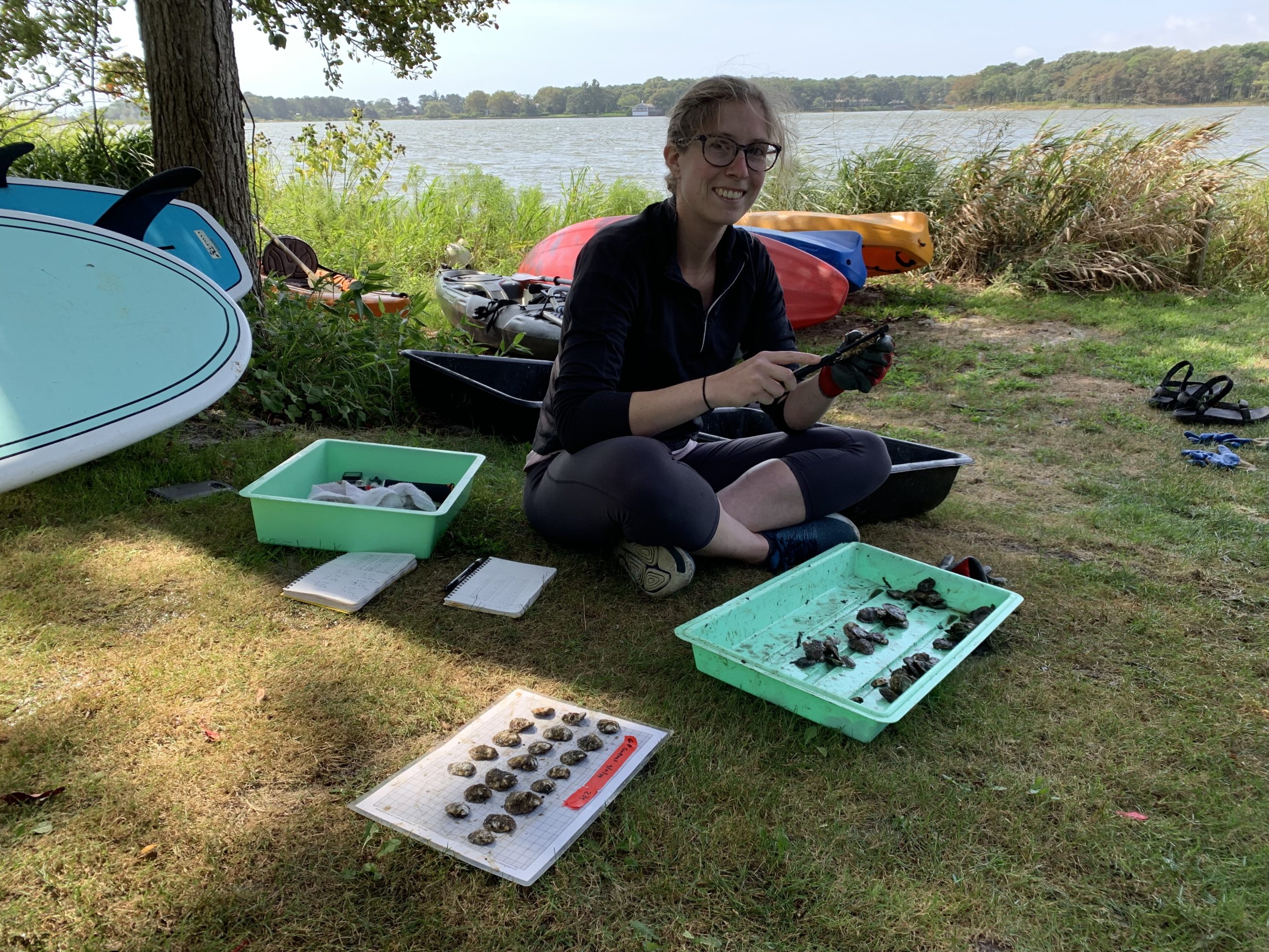 Brooke Morrell, a restoration monitoring associate with Stony Brook University's School of Marine and Atmospheric Sciences, measuring oysters that were raised in cages in Georgica Pond this past summer. 