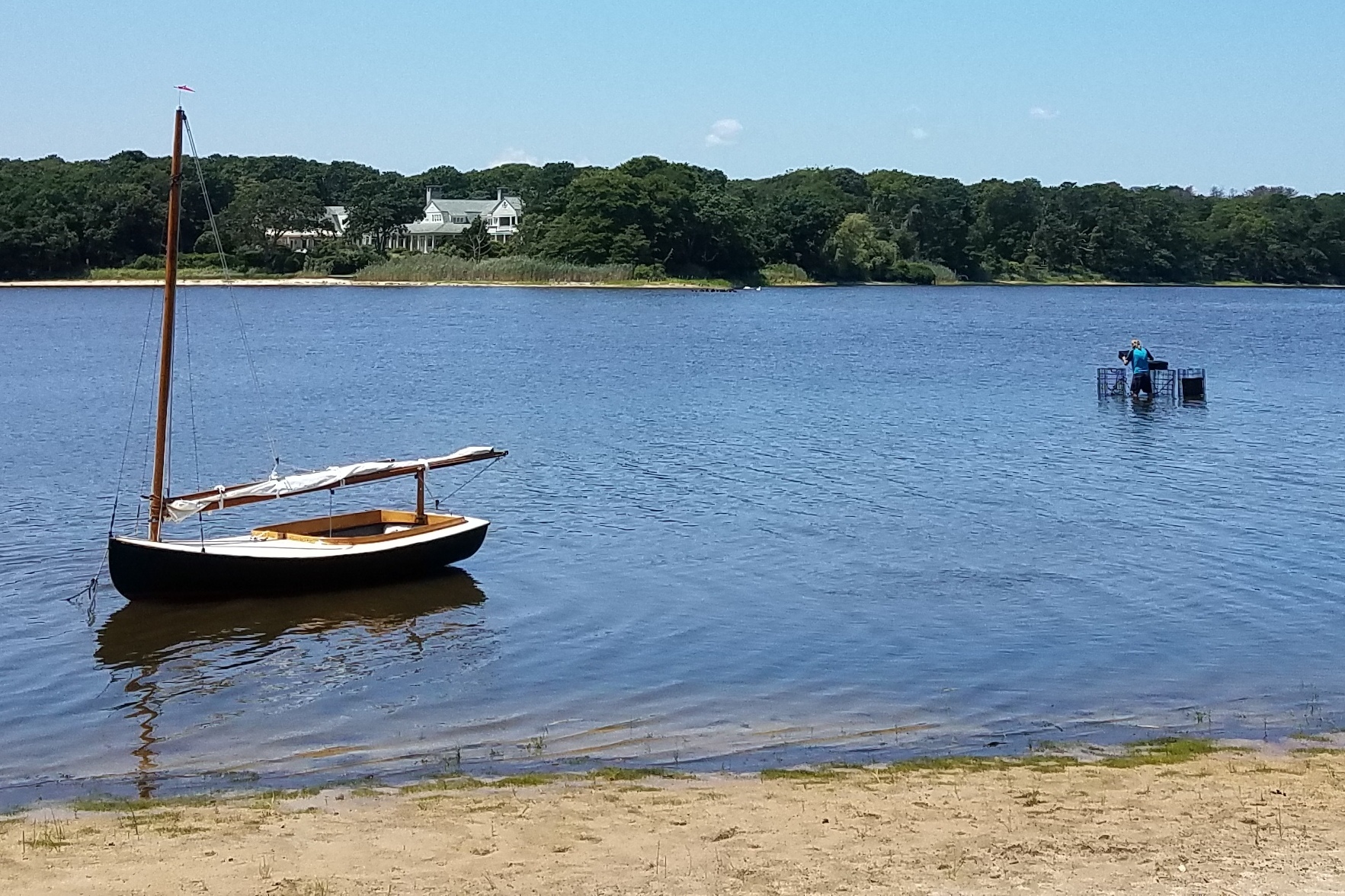The Stony Brook biologists anchored oyster cages in three locations around Georgica Pond this summer to track their growth.
