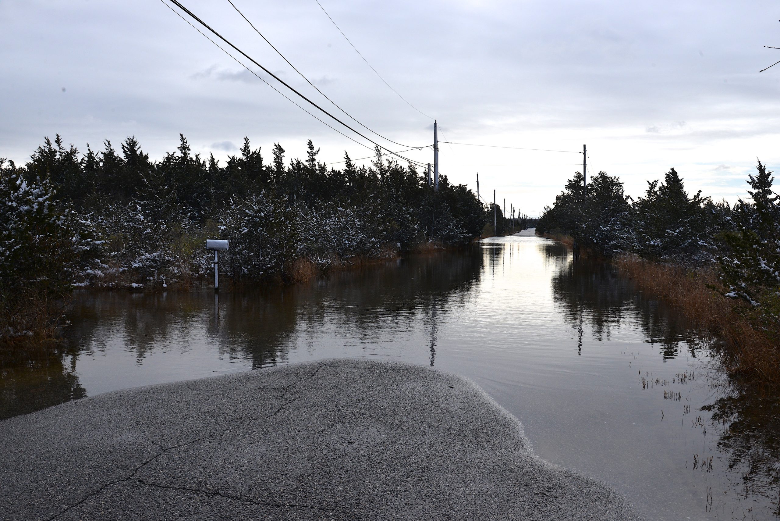 Gerard Drive, which already suffers from chronic flooding during storm tides, is one of the areas consultants are weighing how residents can manage living in a threatened area as sea levels rise.  KYRIL BROMLEY