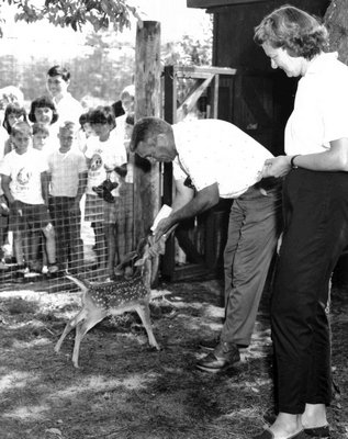Carl and Dottie Helms feeding a fawn at the Quogue Wildlife Refuge. COURTESY QUOGUE WILDLIFE REFUGE