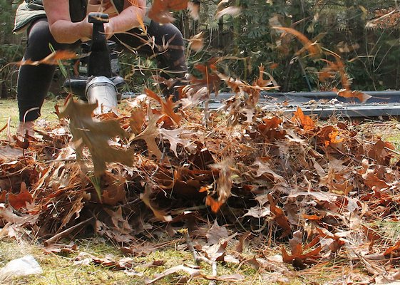 East Hampton Village plans to regulate gas-powered leaf blowers and other loud landscaping equipment. PRESS FILE