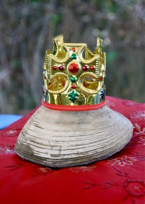 The 2012 king clam/