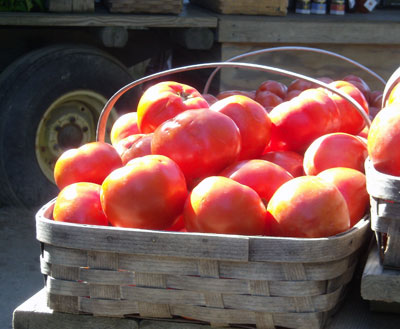 Fresh tomatoes abound.