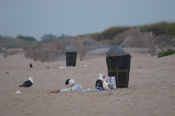 The Shoreline Sweep to clean the East End beaches will take place on April 27.   COURTESY DELL CULLUM