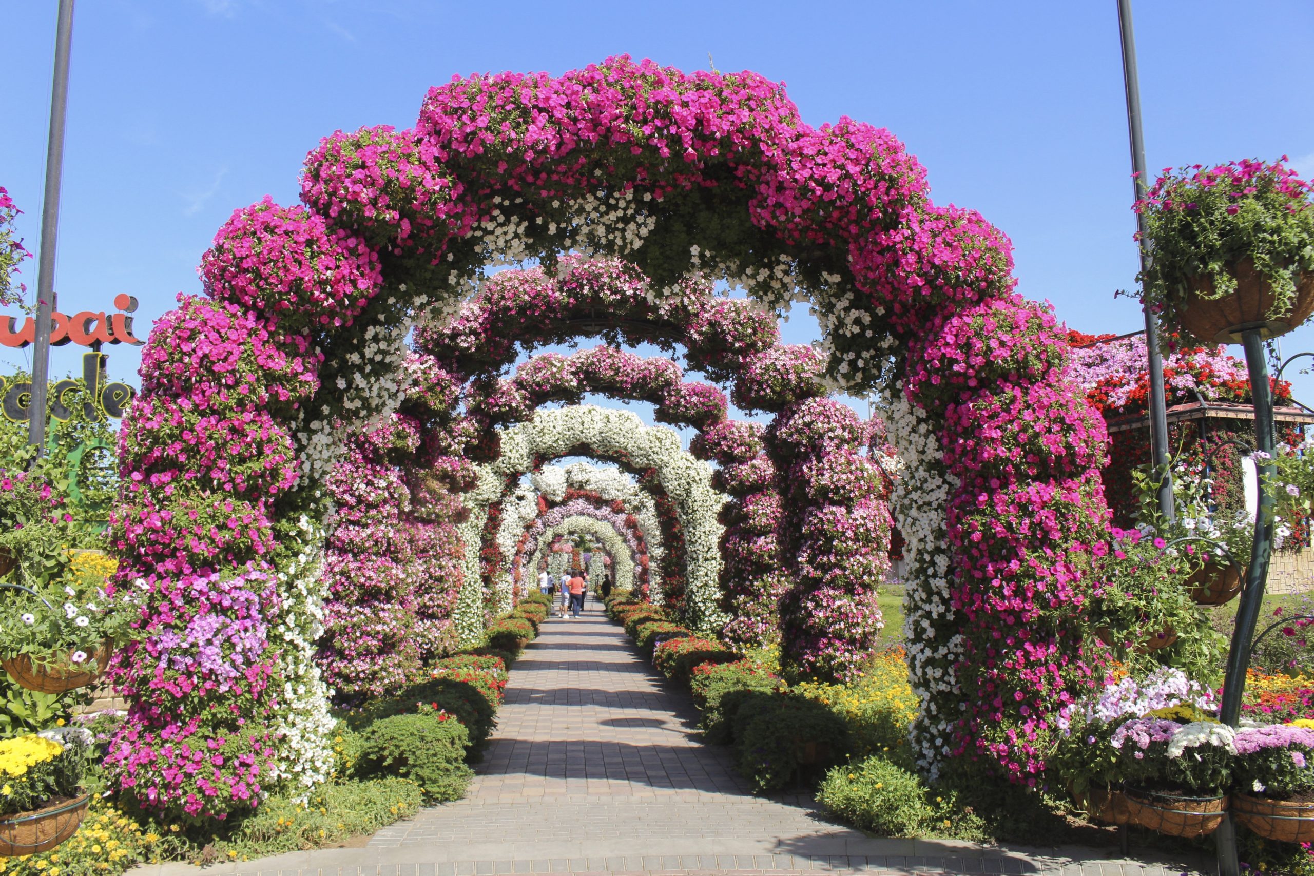 The Miracle Garden (Dubai, United Arab Emirates) from Chris Woods's 