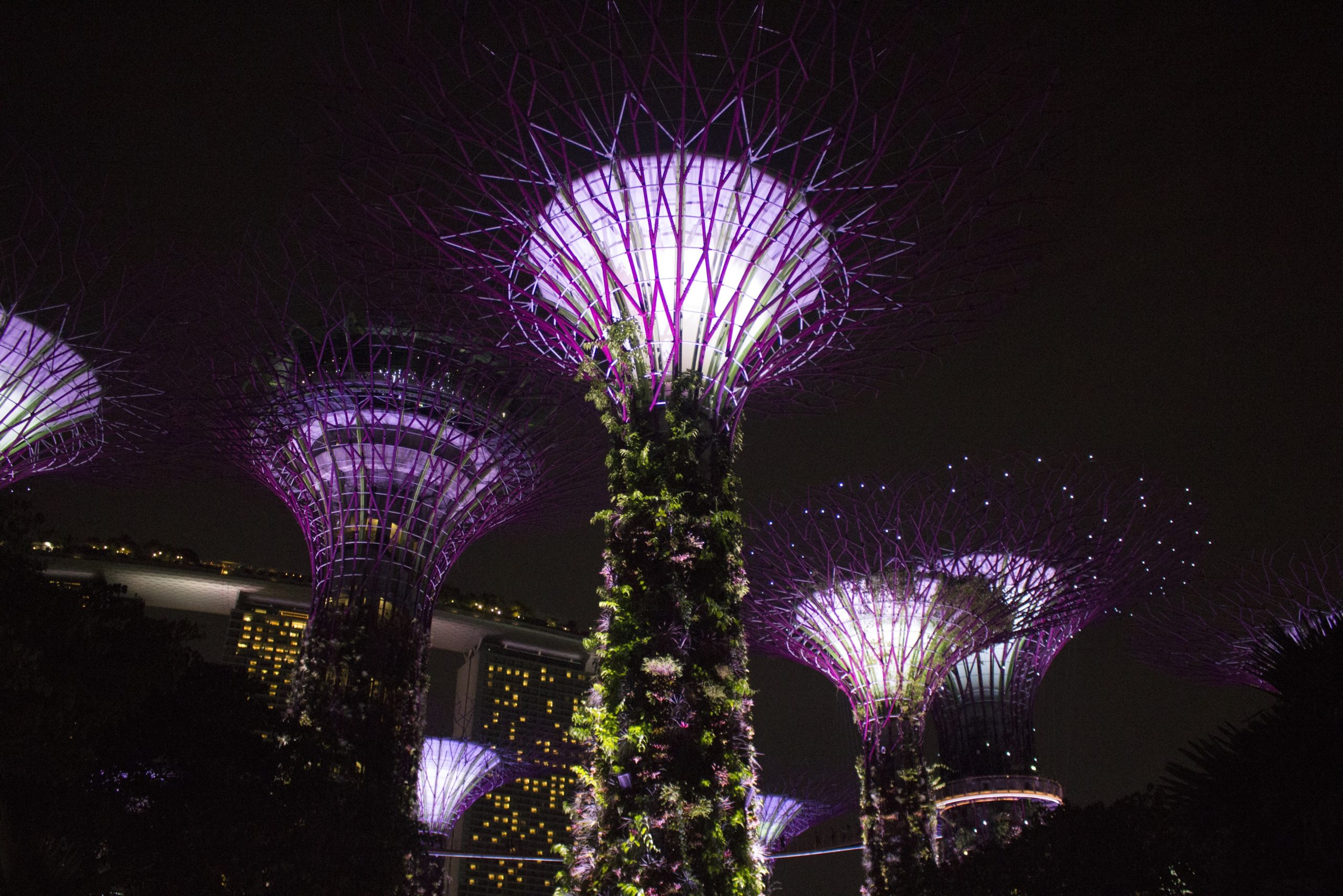 Gardens by the Bay and Parkroyal Hotel (Singapore) from Chris Woods's book 
