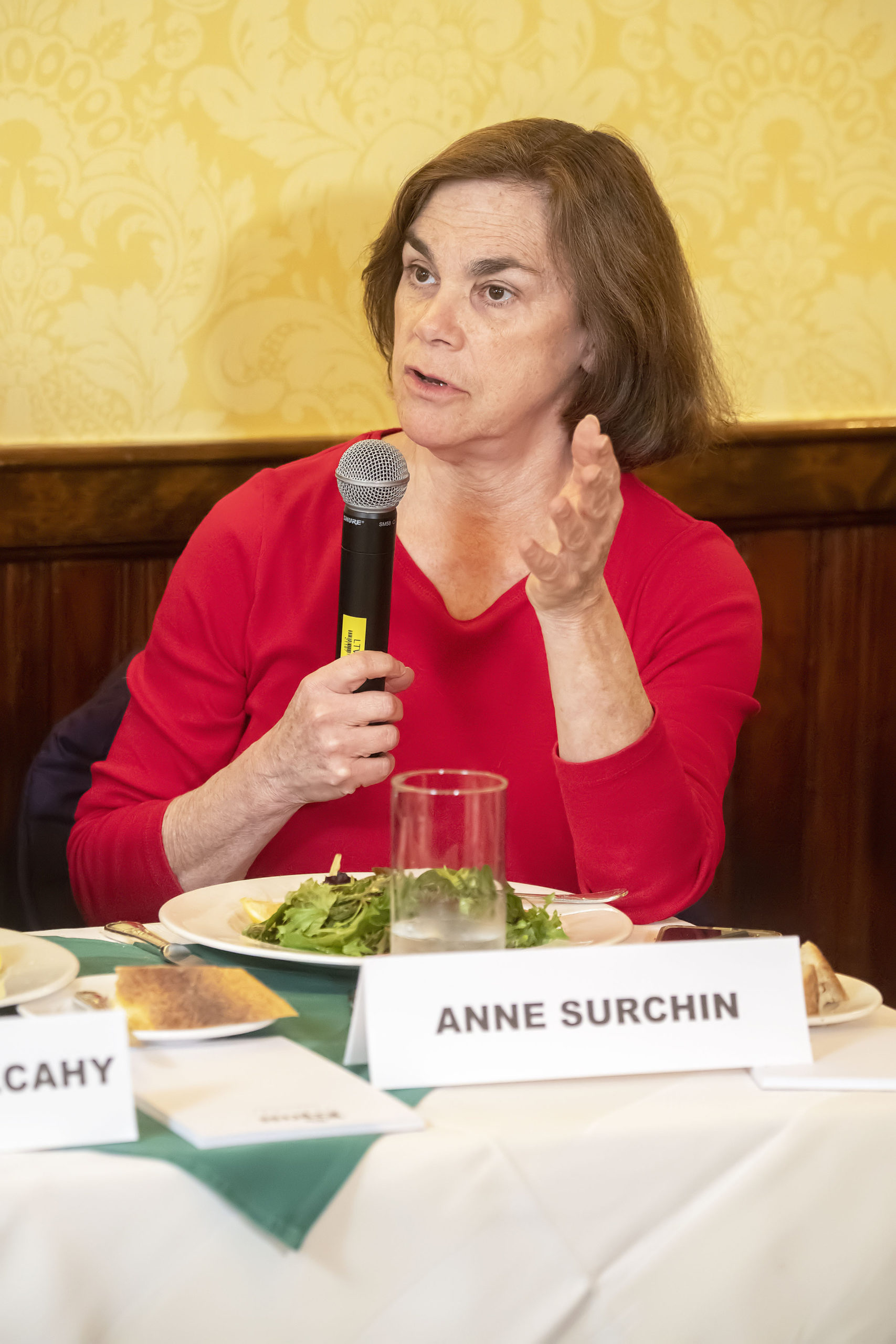 Panelist Anne Surchin.  MICHAEL HELLER