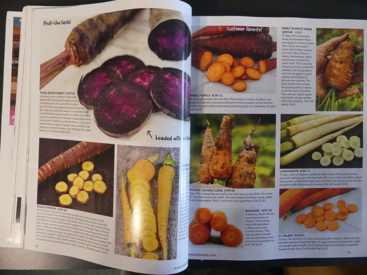 The Whole Seed Catalog has pages of exquisite color pictures, descriptions and planting instructions for hundreds and hundreds of open-pollinated veggie and garden seeds. ANDREW MESSINGER 